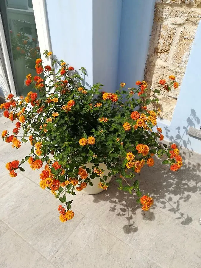 A Vucciria Bed & Breakfast Terrasini